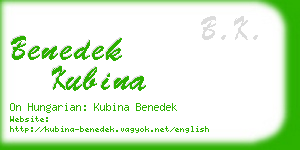 benedek kubina business card